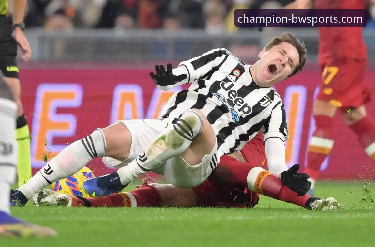 深度复盘意大利出局：宝威体育平台赛事回放与数据分析操作教程